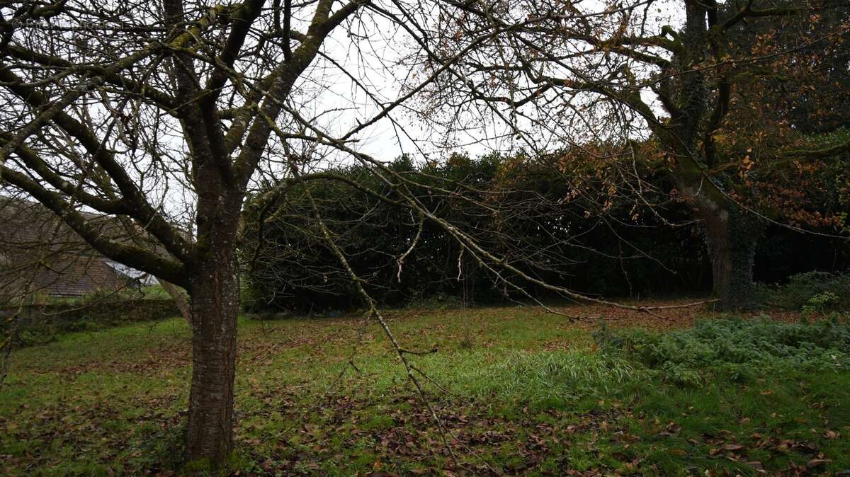 Maison à vendre 3 pièces proche de PREMERY (58) - photo 2
