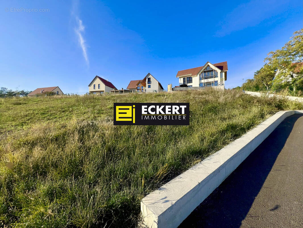 Terrain à ROSENWILLER