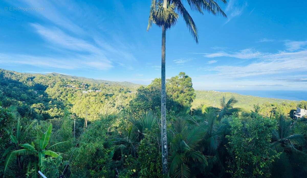 Photo 3 - Maison à SAINT-DENIS
