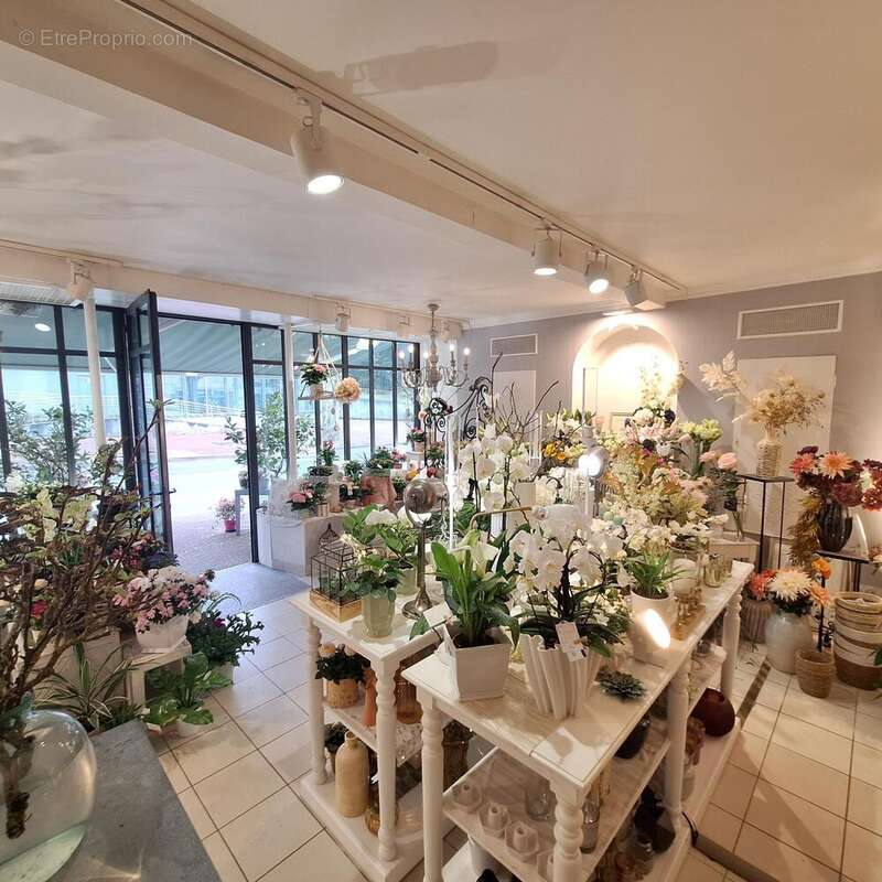 Photo 3 - Commerce à LE CREUSOT