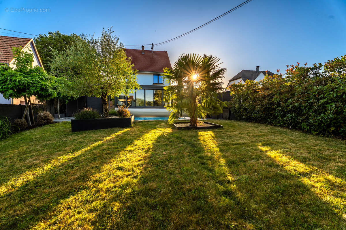 Maison à WINGERSHEIM