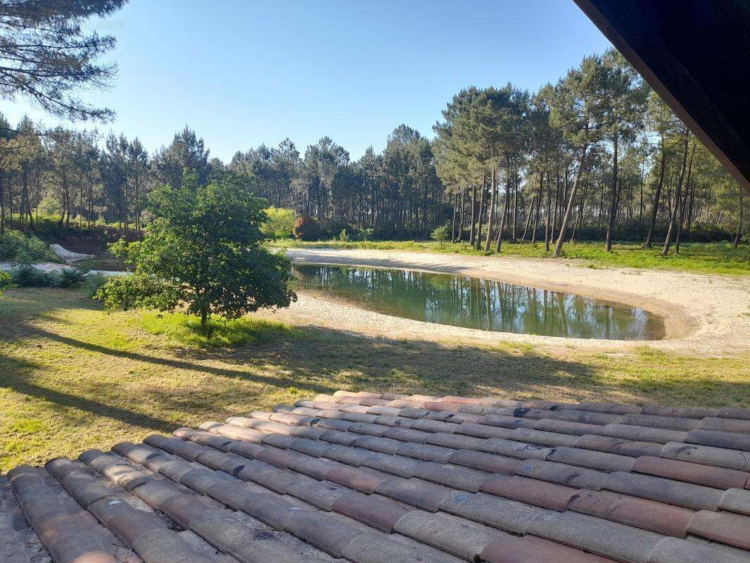 Maison 630 m² à Biscarrosse  - photo 10
