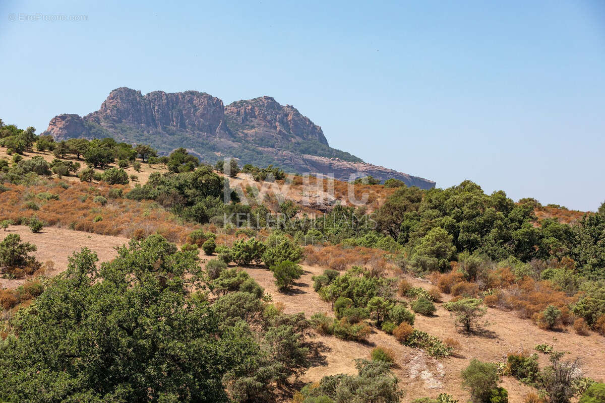Maison à ROQUEBRUNE-SUR-ARGENS