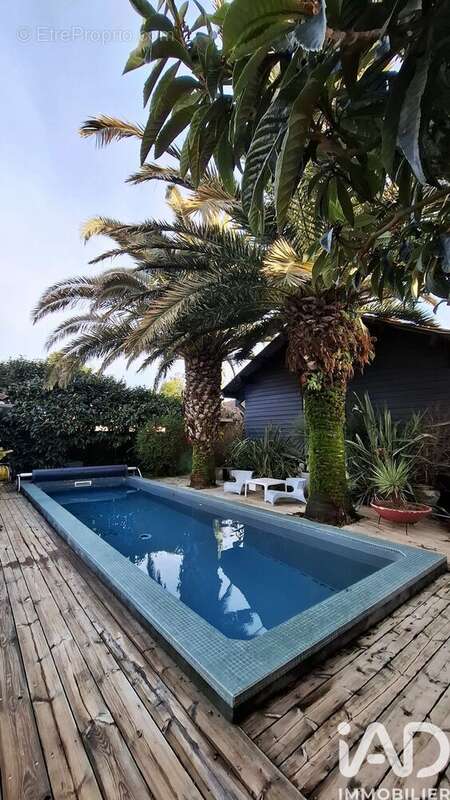 Photo 5 - Maison à ANGRESSE