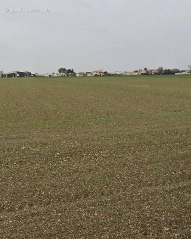 Terrain à VILLEDOUX