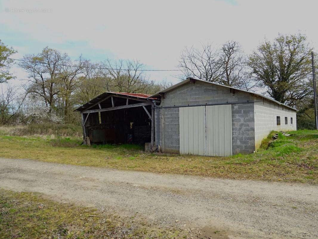 Landes 40250 Caupenne, propriété 21 ha avec habitation et dépendances - photo 10