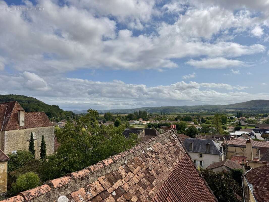 IMG4553 - Maison à SAINT-CYPRIEN