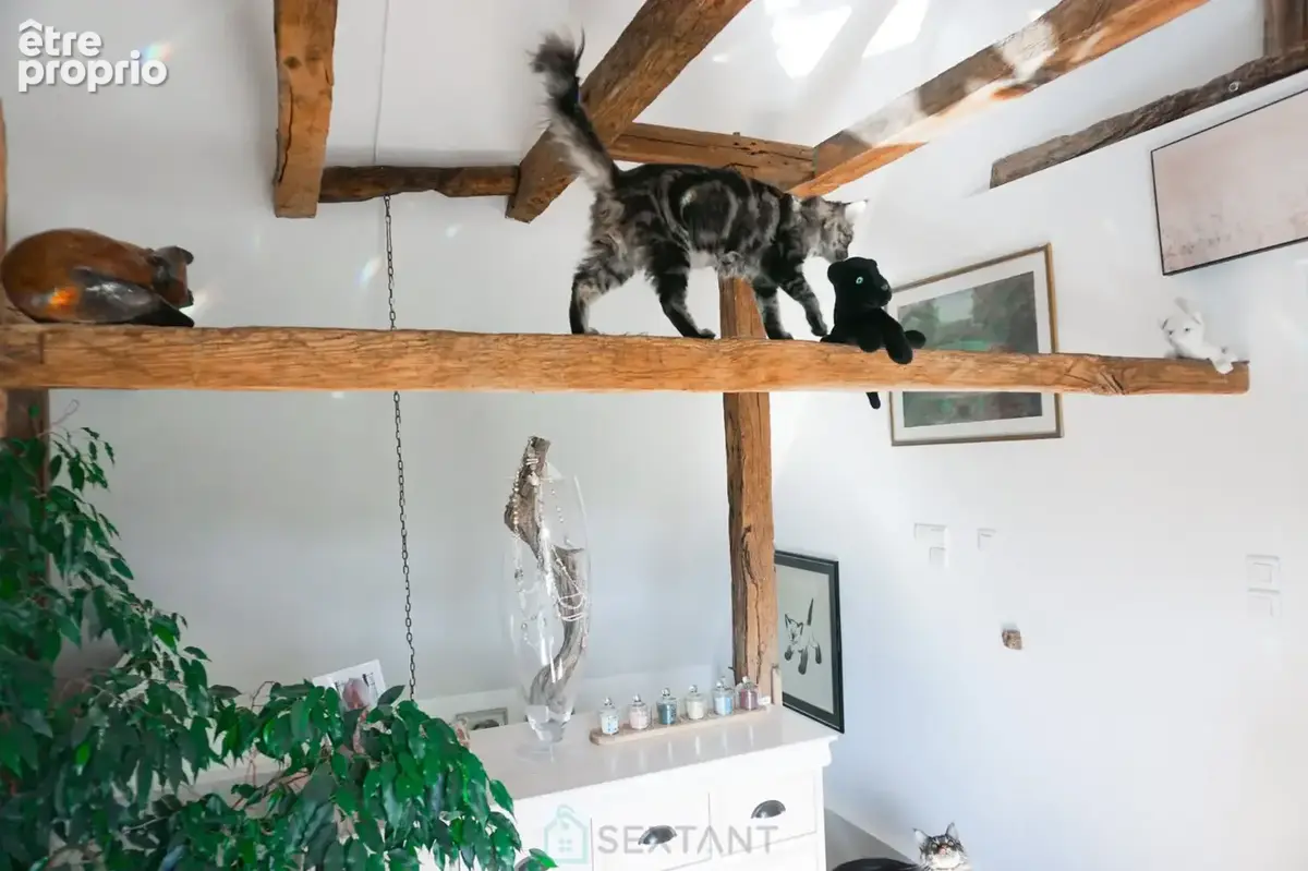 Charmante maison en pierre du XVIIe siècle située au coeur du paisible et pittoresque Périgord vert. - photo 20