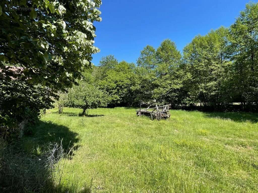 Exclusivité, Bourgogne, Parc du Morvan, Secteur ALLIGNY EN MORVAN, maison 121 m² env  sur plus de 2 600 m² de terrain attenant. - photo 4