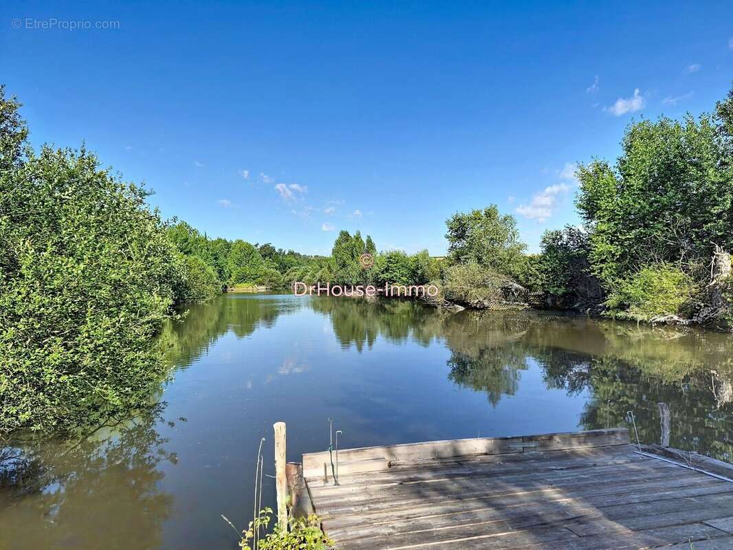 Terrain 23 052 m² à vendre à Chichery (89400) - photo 16