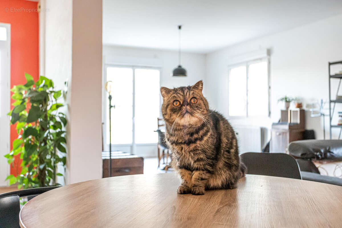 Maison à SAINT-MAURIN