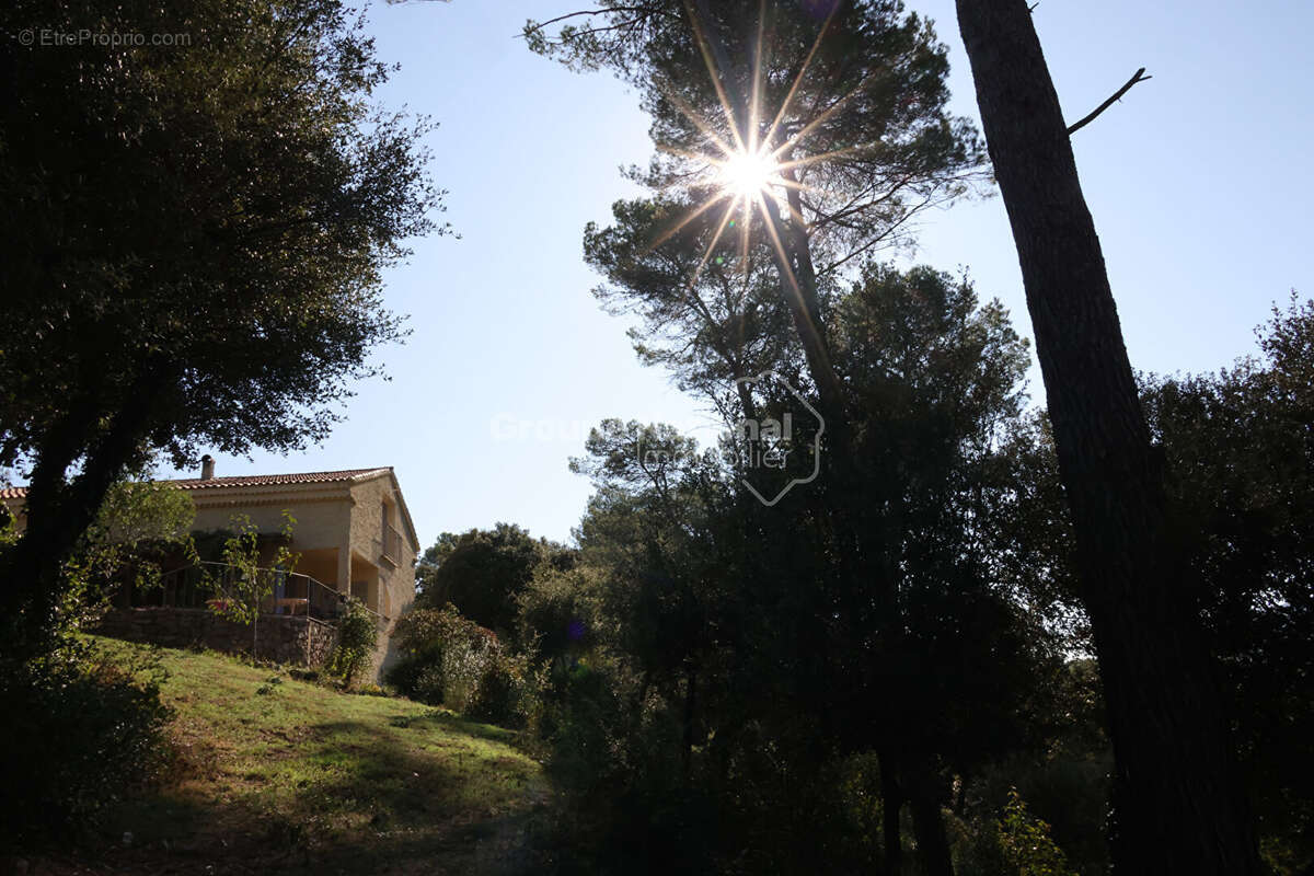 Le Thoronet - Villa 6 pièce(s) 175 m2 habitables - Terrain 3243m2 - photo 2