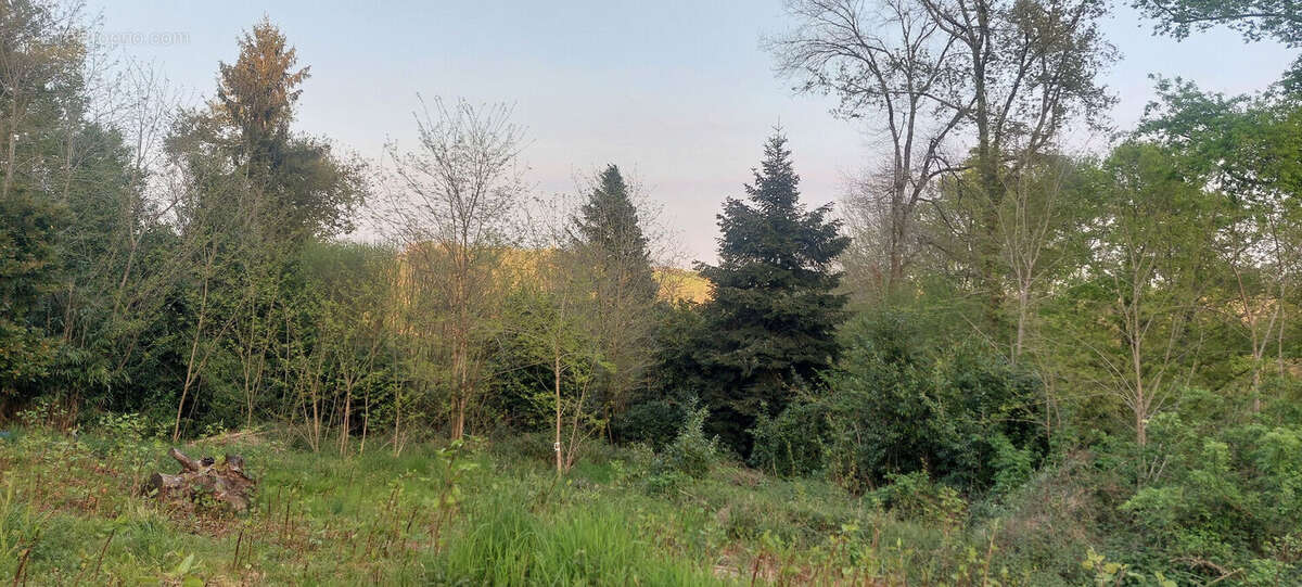 Terrain à SAINT-FAUST