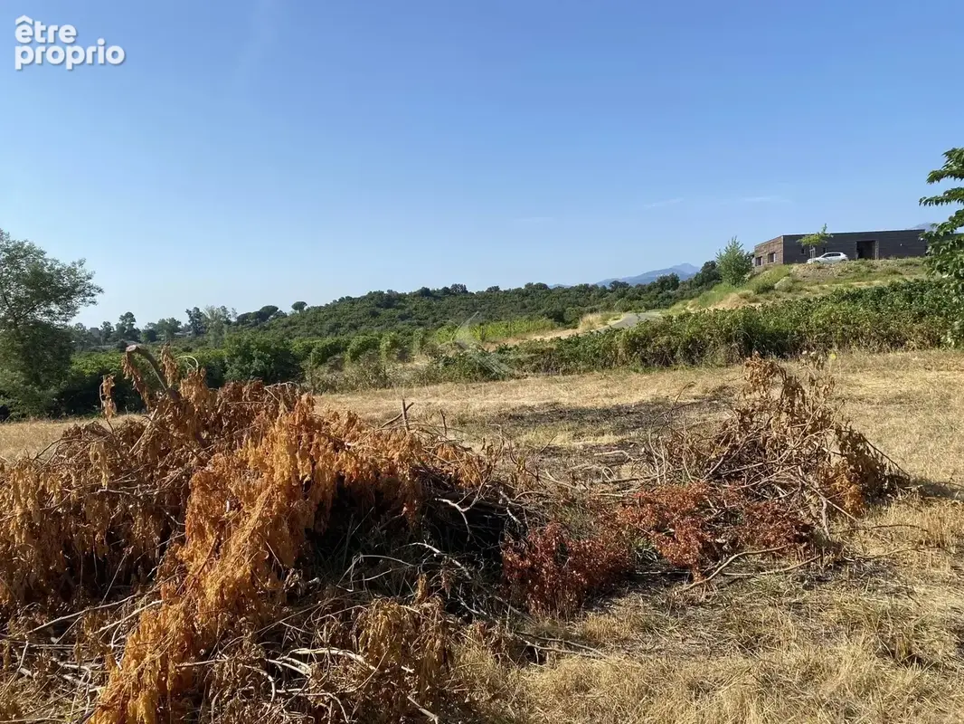 Terrain constructible 1037 m² - photo 4