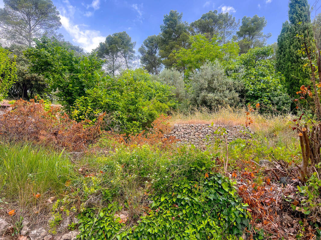 Terrain à MONTFORT-SUR-ARGENS