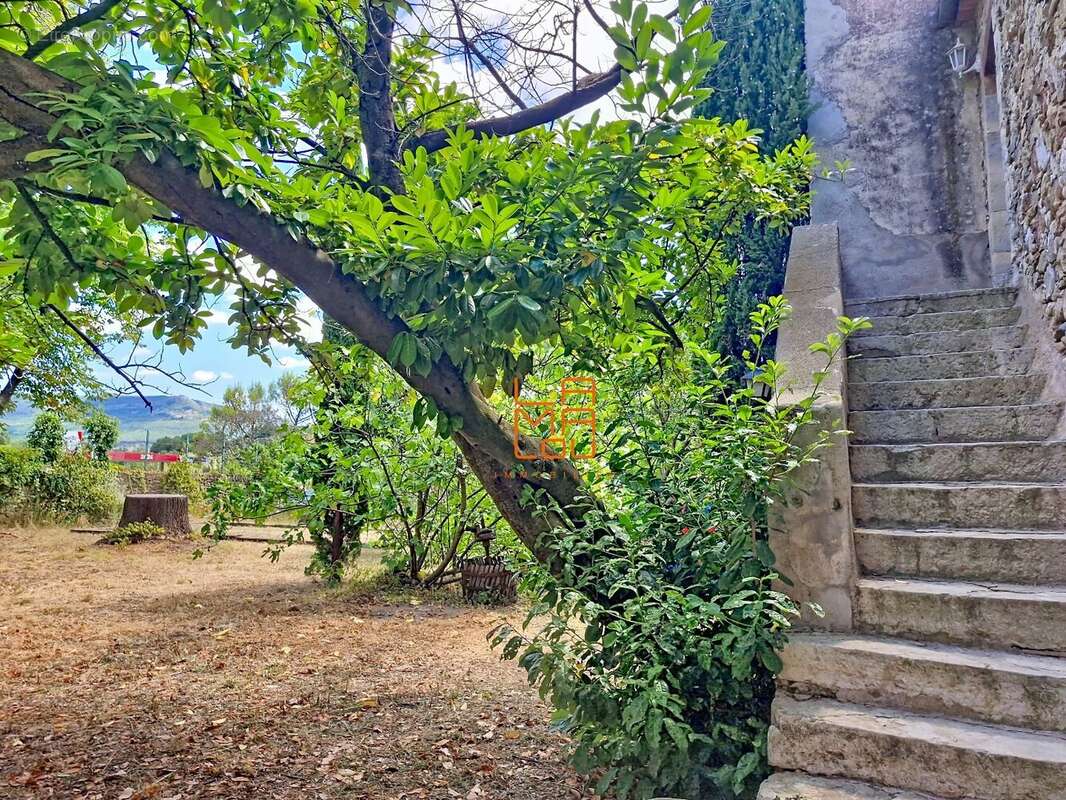 Maison de Maitre, pleine de Charme, avec jardin, cour, dépendances... - photo 3
