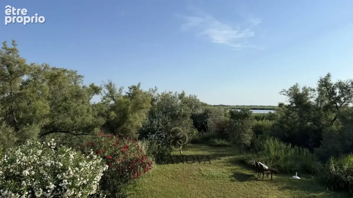 La presqu'île Camarguaise - photo 28