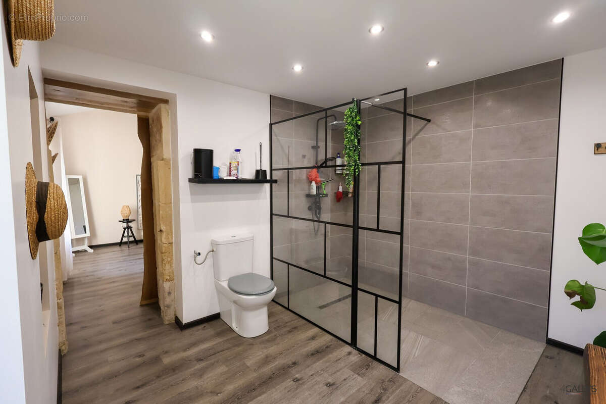 Maison 245 m² à Saint-Savinien  - photo 9
