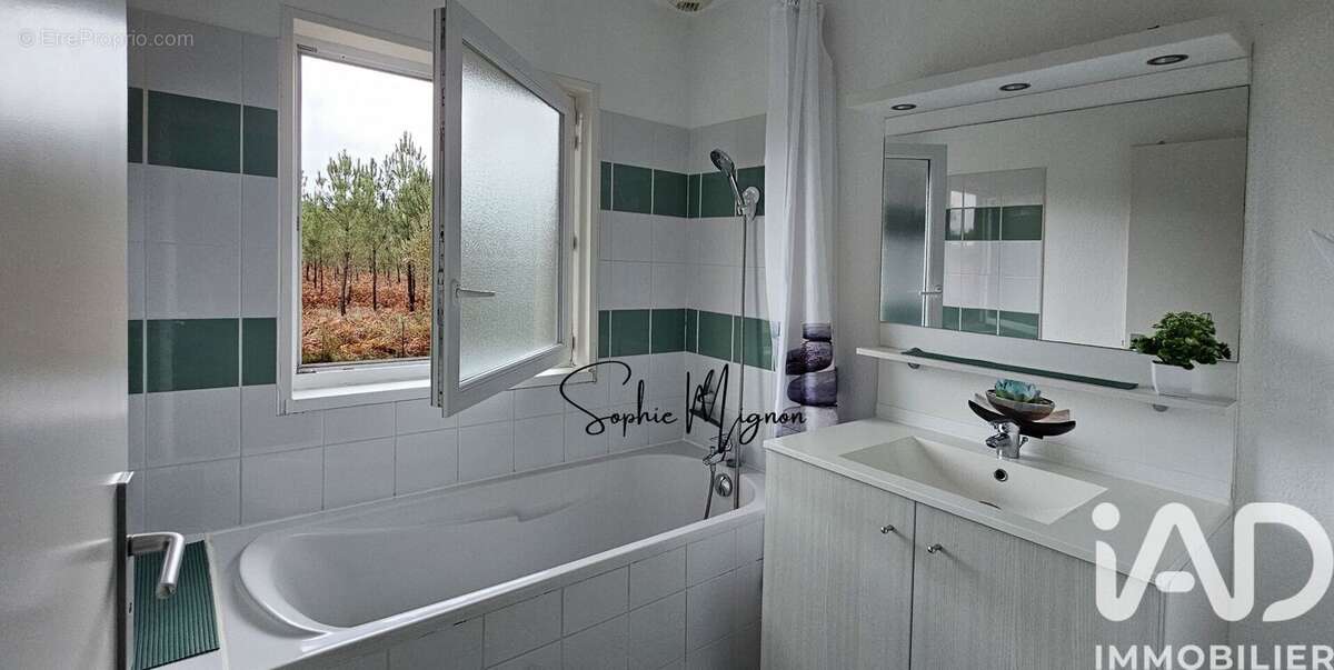 Photo 4 - Appartement à PARENTIS-EN-BORN