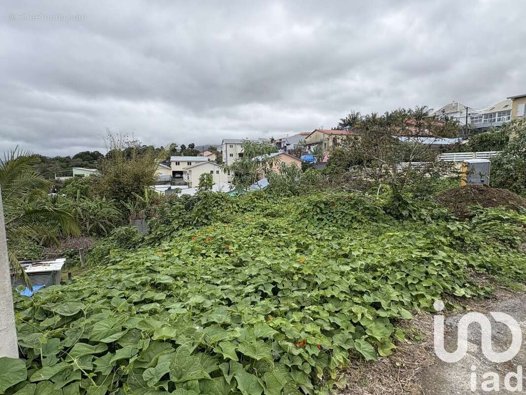 Photo 2 - Terrain à LE TAMPON