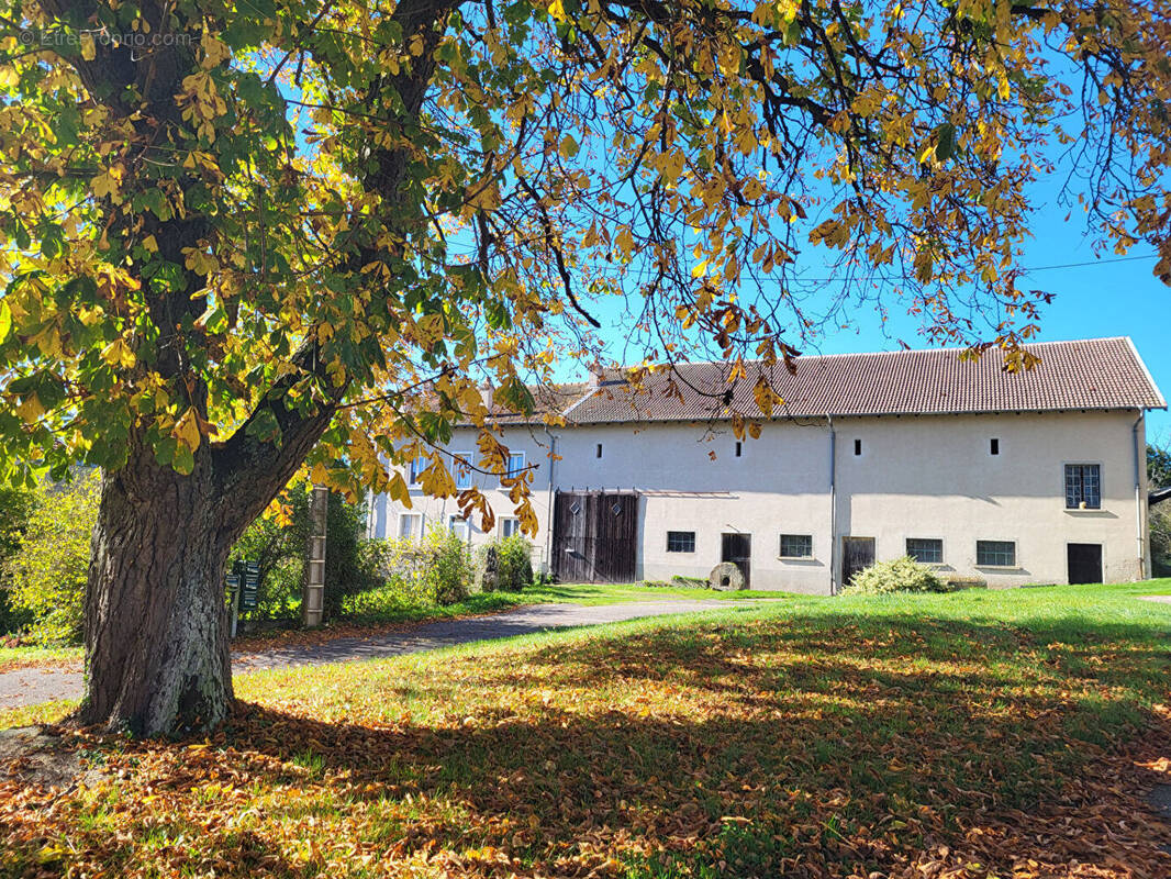 Maison à DOMEVRE-SUR-VEZOUZE