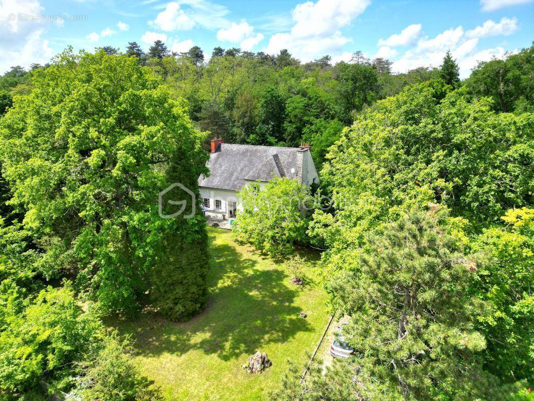 Maison à SAINT-PIERRE-LES-NEMOURS