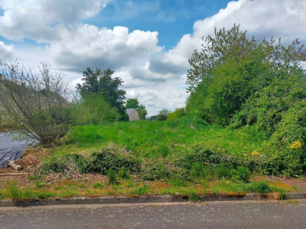 Terrain à VILLAINES-LA-JUHEL