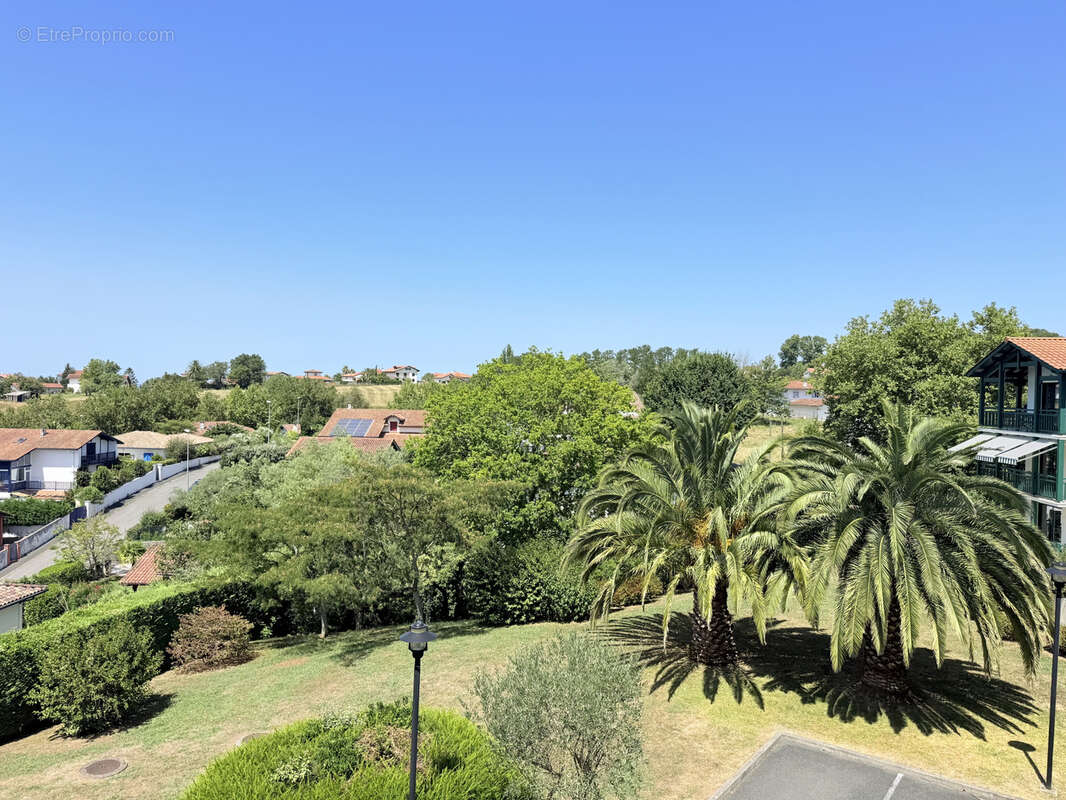 Appartement 2 pieces avec balcon et parking - photo 2