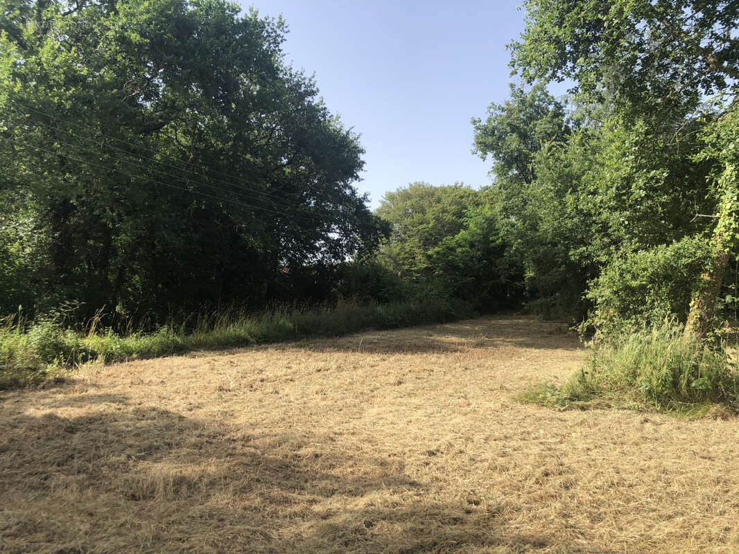 Terrain à CAZAUBON