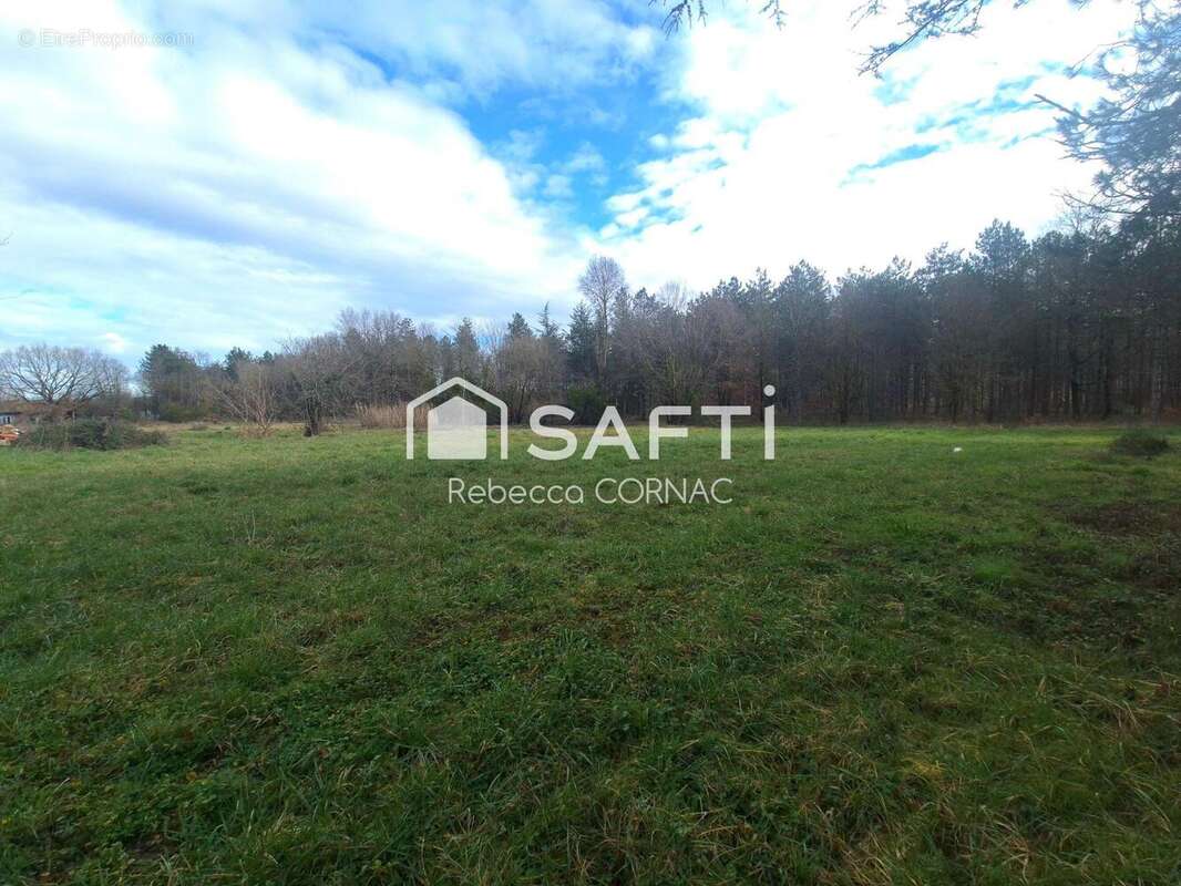 Photo 3 - Terrain à VILLEMATIER