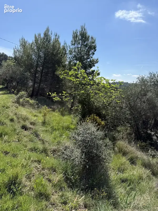 Terrain non constructible de 2 505 m2 à Seillans, lieu-dit Font Valete - photo 2