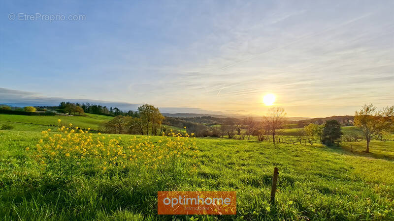 Terrain à SAUVETERRE-DE-BEARN