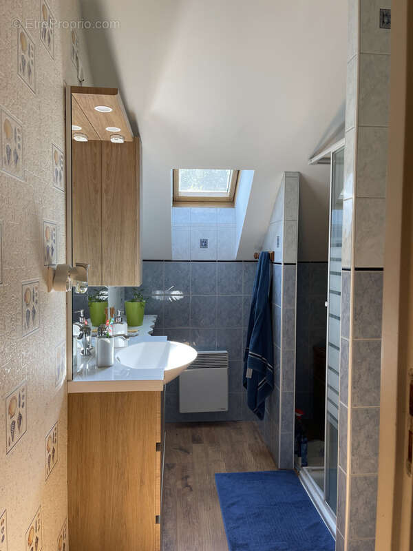 Saint-Dié-des-Vosges - Maison 140m2 quartier calme - photo 15