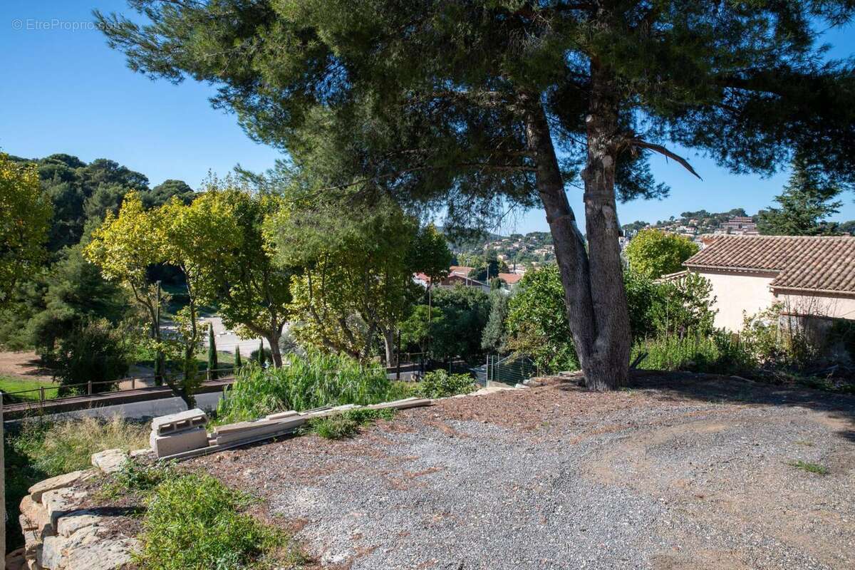 Photo 5 - Terrain à OLLIOULES