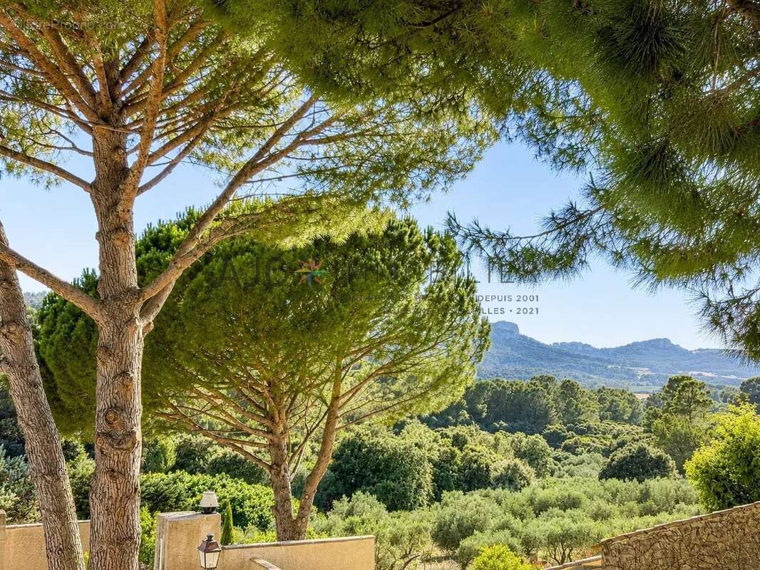 Les Baux-de-Provence – Maison de caractère avec vue sur les Alpilles - photo 3