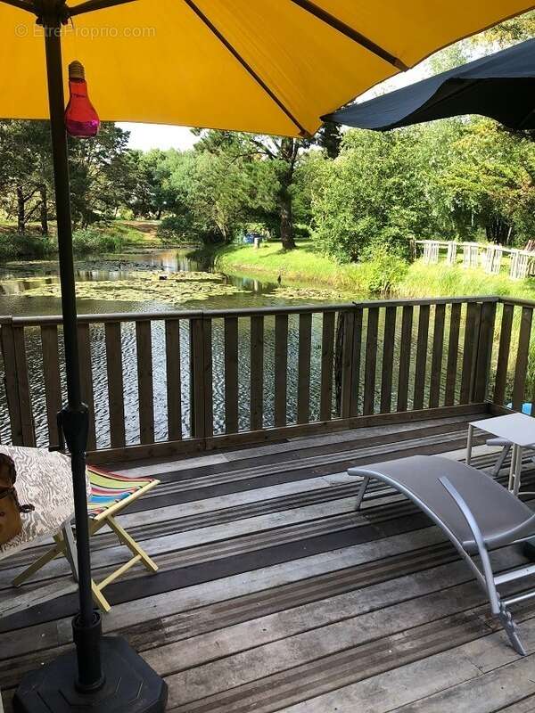 Terrain à TALMONT-SAINT-HILAIRE