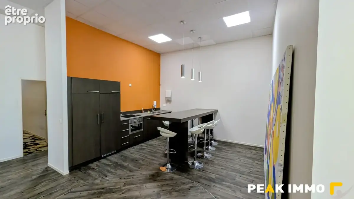 Commerce 278 m² à vendre à Quintal (74600) - photo 6