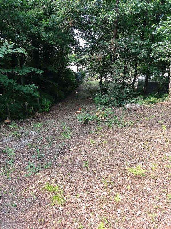 Terrain à LES MATHES