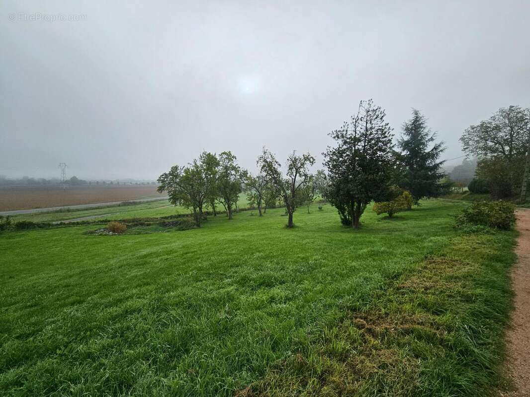 Photo 6 - Maison à CREUZIER-LE-NEUF