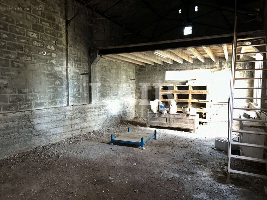 Appartement à FLERS