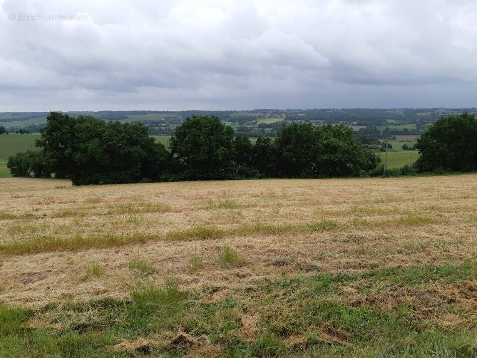 Terrain à MONTJOIRE