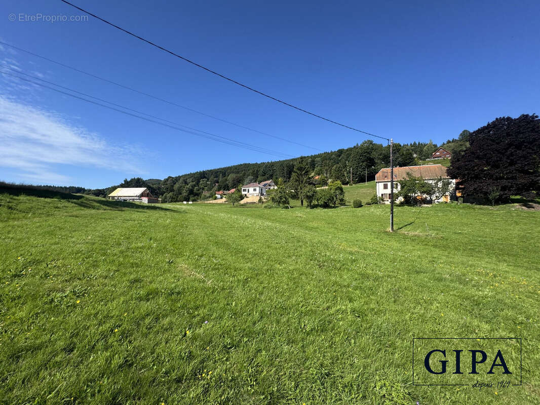 Terrain à LE HOHWALD