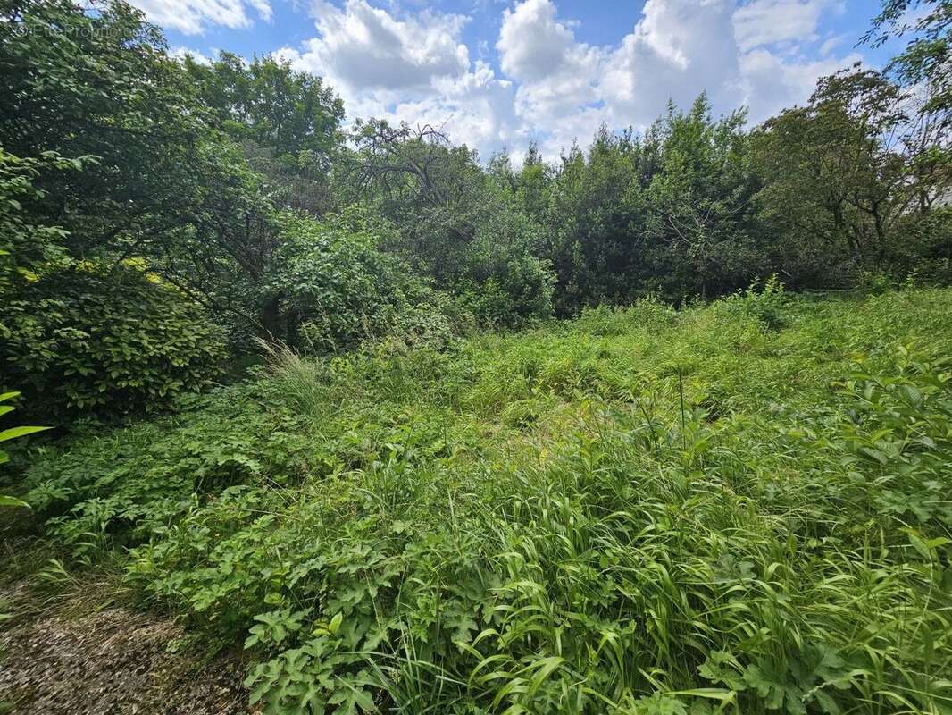 Terrain à CHENNEVIERES-SUR-MARNE