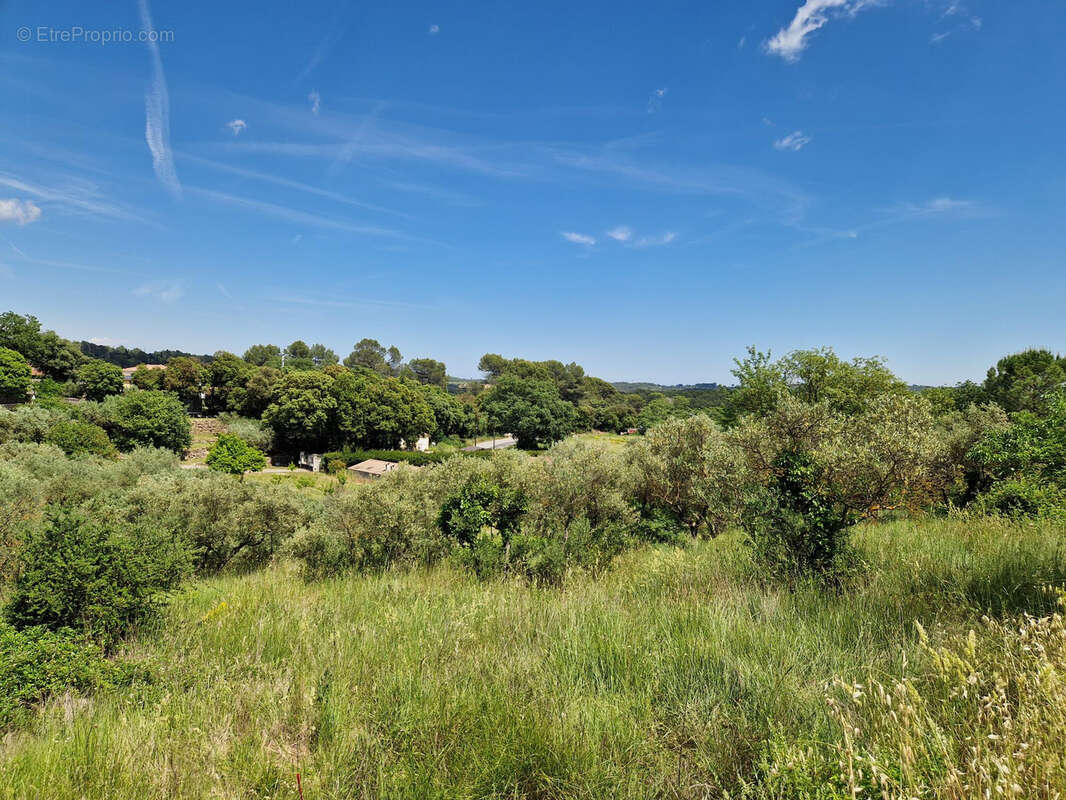 Terrain à LORGUES