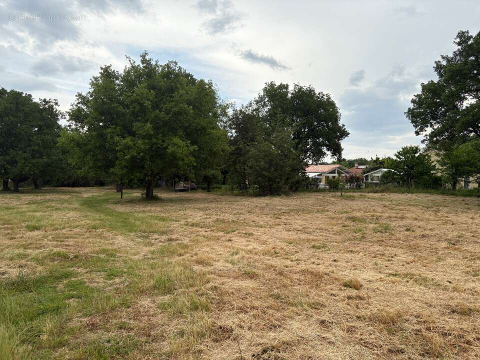 Terrain 1050 m² à Fronton  - photo 4