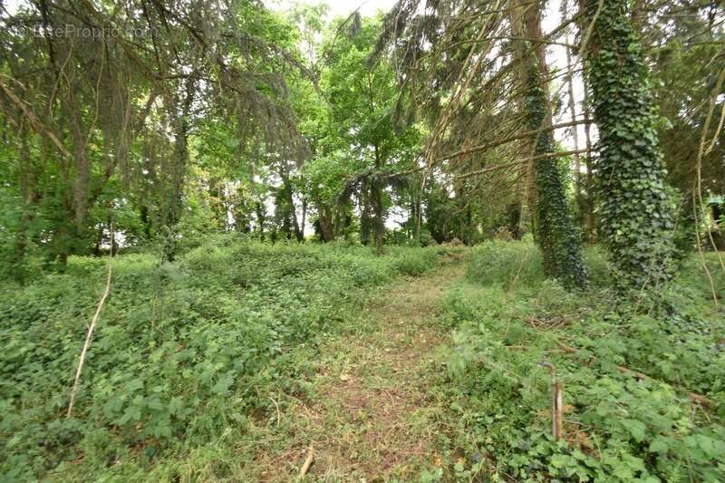 Maison à LE PONT-CHRETIEN-CHABENET