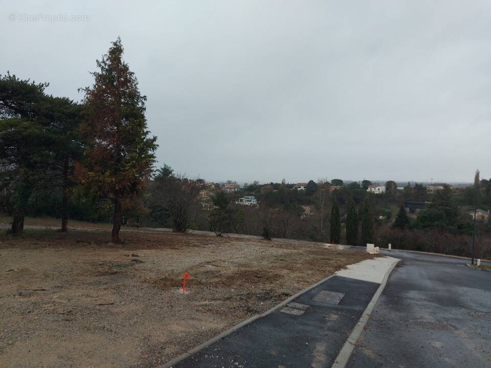 Terrain à LACROIX-FALGARDE