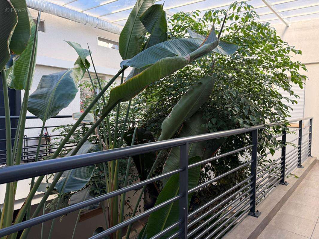 Appartement à LE LAVANDOU