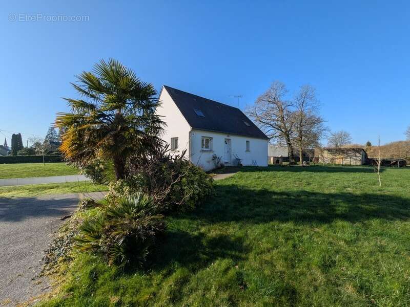 Saint tugdual maison de 110 m² 5 pièces 4 chambres avec vie de plain pied sur parcelle de 4479 m² - photo 4