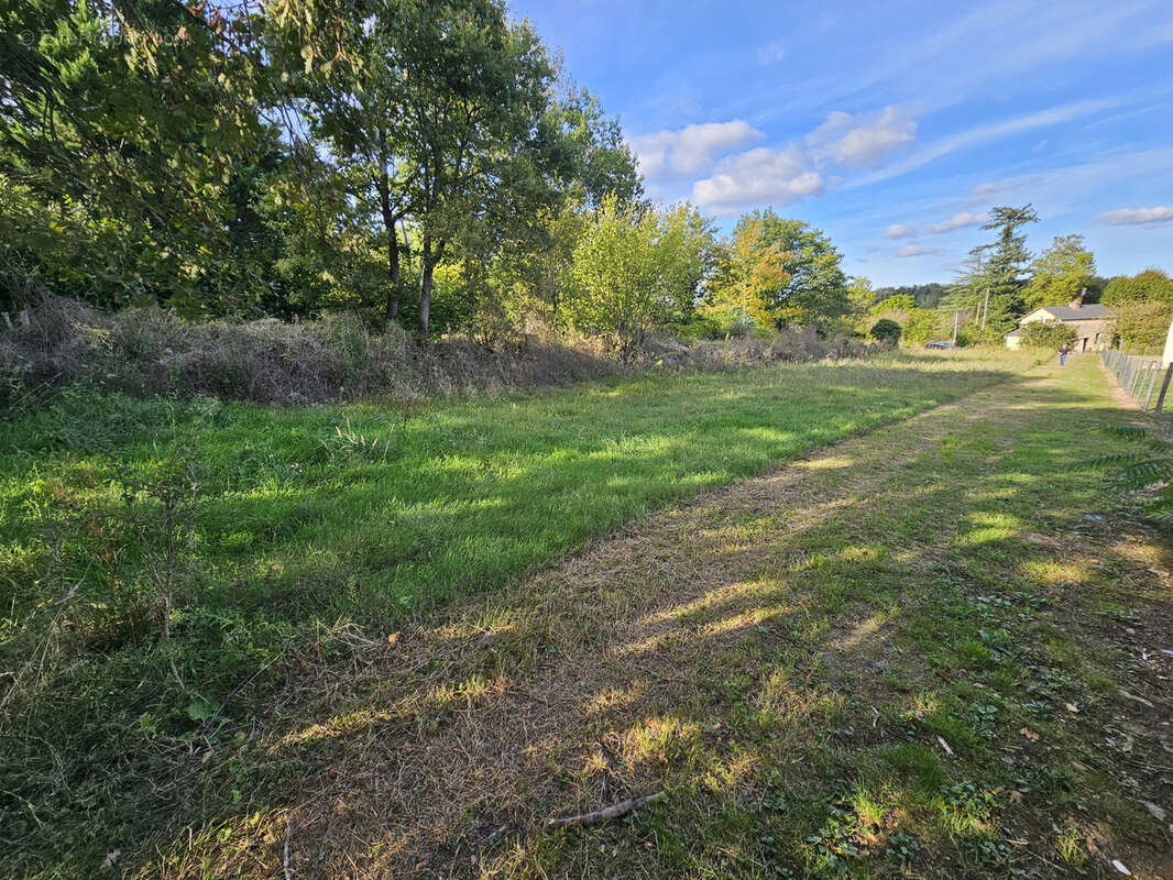 Terrain à LE BLANC